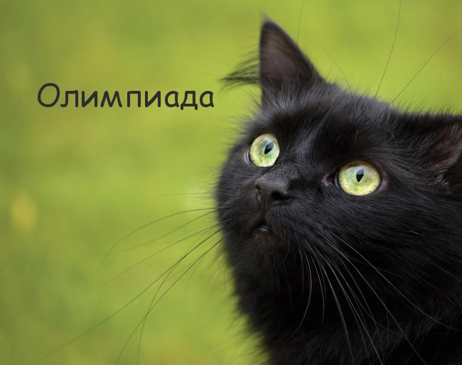 Картинка с черным котом и именем Олимпиада