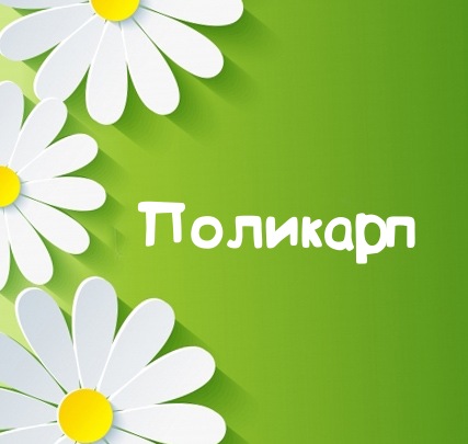 Картинка для имени Поликарп