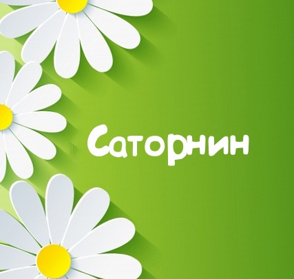 Картинка для имени Саторнин