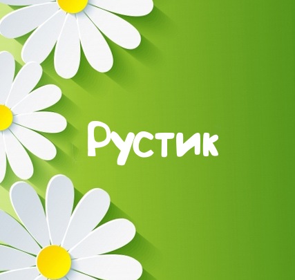 Картинка для имени Рустик