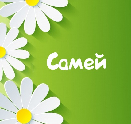 Картинка для имени Самей