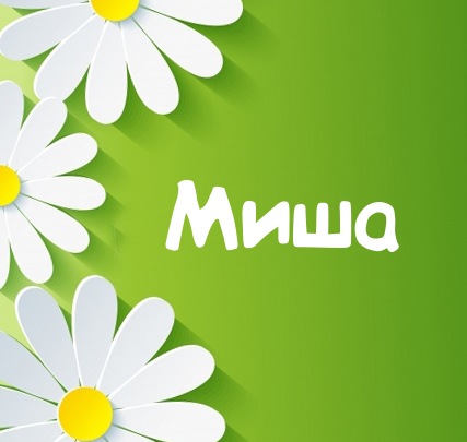 Картинка для имени Миша