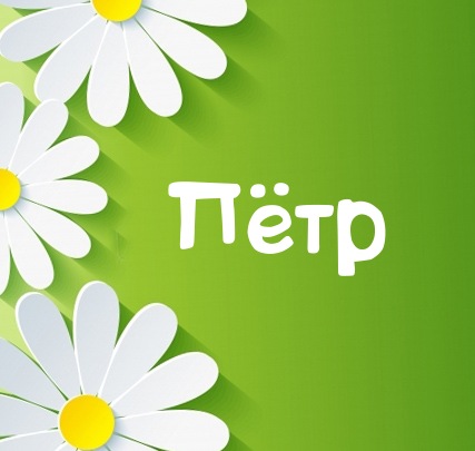    ϸ
