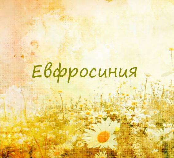 Евфросиния на картинке с ромашками для авы