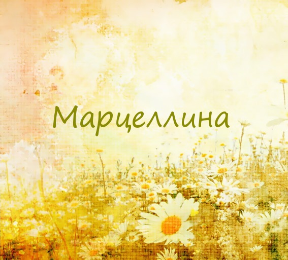 Марцеллина на картинке с ромашками для авы