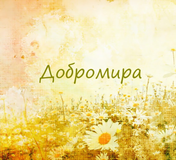 Добромира на картинке с ромашками для авы