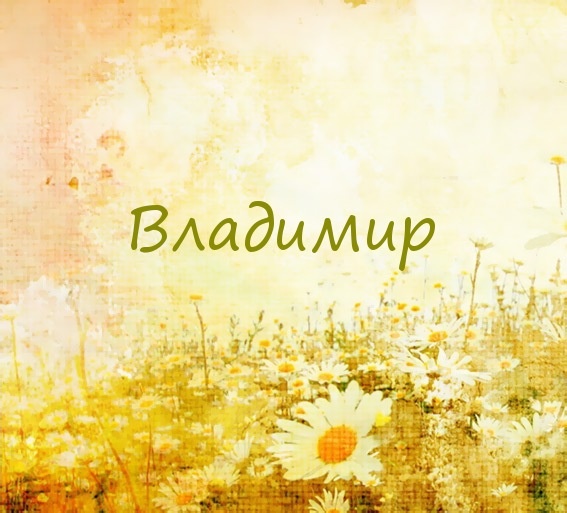 Владимир на картинке с ромашками для авы