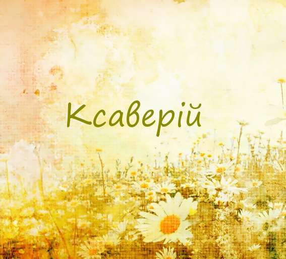 Ксаверій на картинке с ромашками для авы