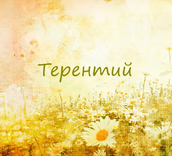 Терентий на картинке с ромашками для авы