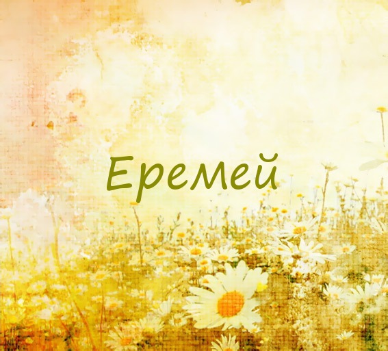 Еремей на картинке с ромашками для авы