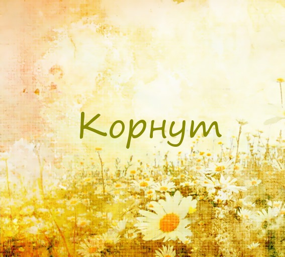 Корнут на картинке с ромашками для авы
