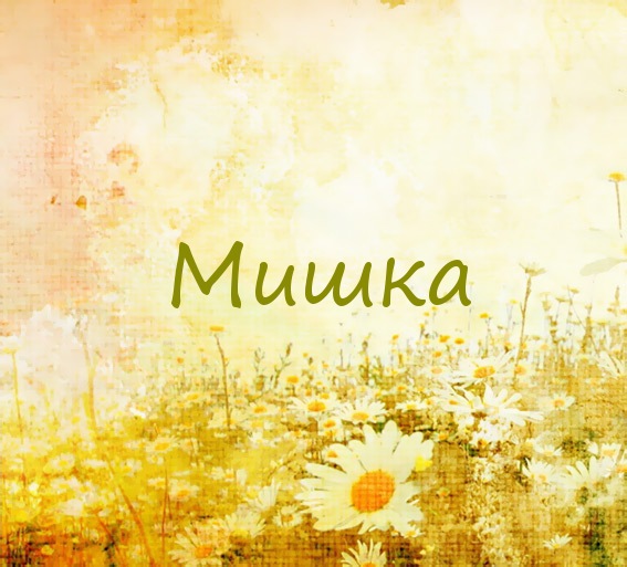 Мишка на картинке с ромашками для авы