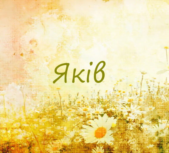 Яків на картинке с ромашками для авы