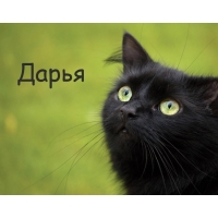 Картинка с черным котом и именем Дарья