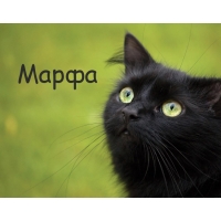 Картинка с черным котом и именем Марфа