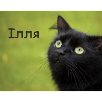 Картинка с черным котом и именем Ілля