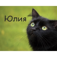 Картинка с черным котом и именем Юлия