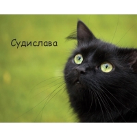 Картинка с черным котом и именем Судислава