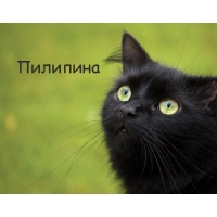 Картинка с черным котом и именем Пилипина