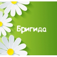 Картинка для имени Бригида