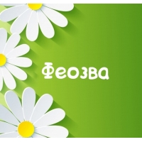 Картинка для имени Феозва
