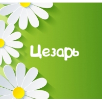 Картинка для имени Цезарь