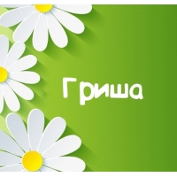 Картинка для имени Гриша