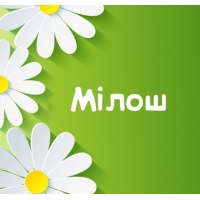 Картинка для имени Мілош