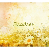 Владлен на картинке с ромашками для авы