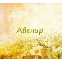 Авенир на картинке с ромашками для авы