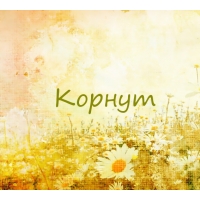 Корнут на картинке с ромашками для авы
