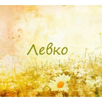 Левко на картинке с ромашками для авы