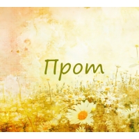 Прот на картинке с ромашками для авы